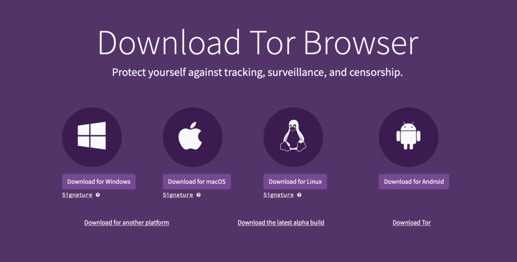 download tor browser
