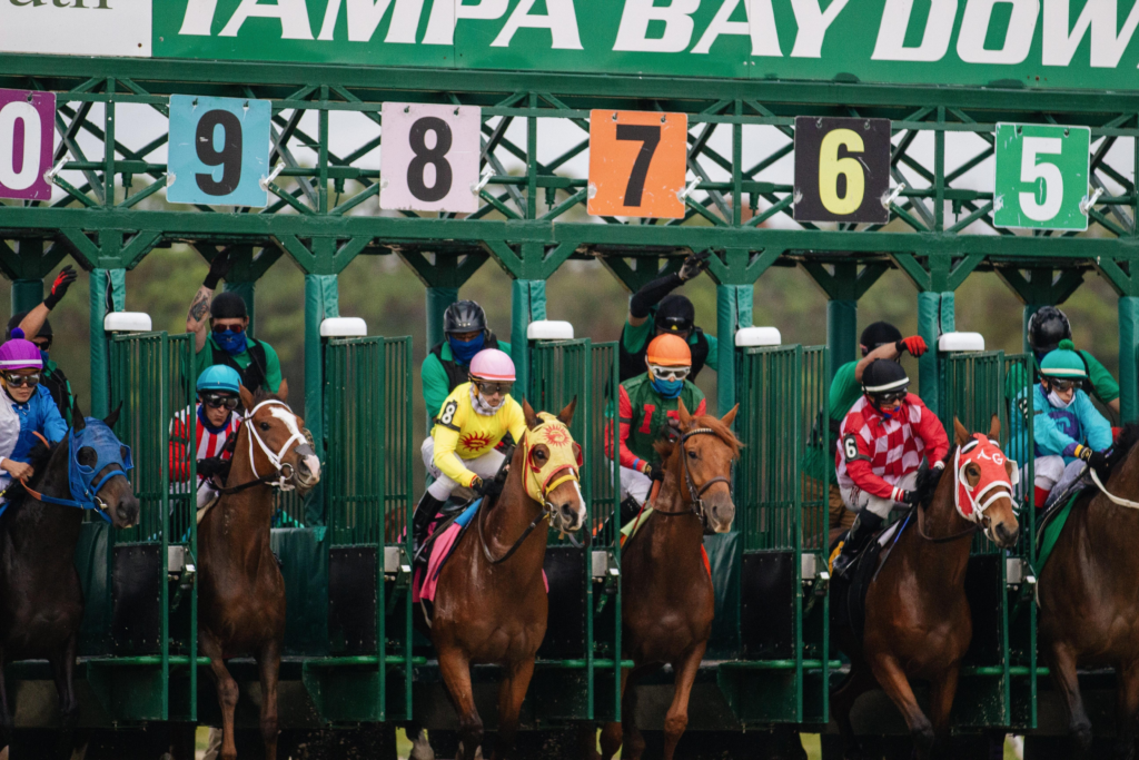 bet on horse racing with bitcoin