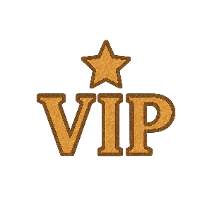 VIP 보너스 